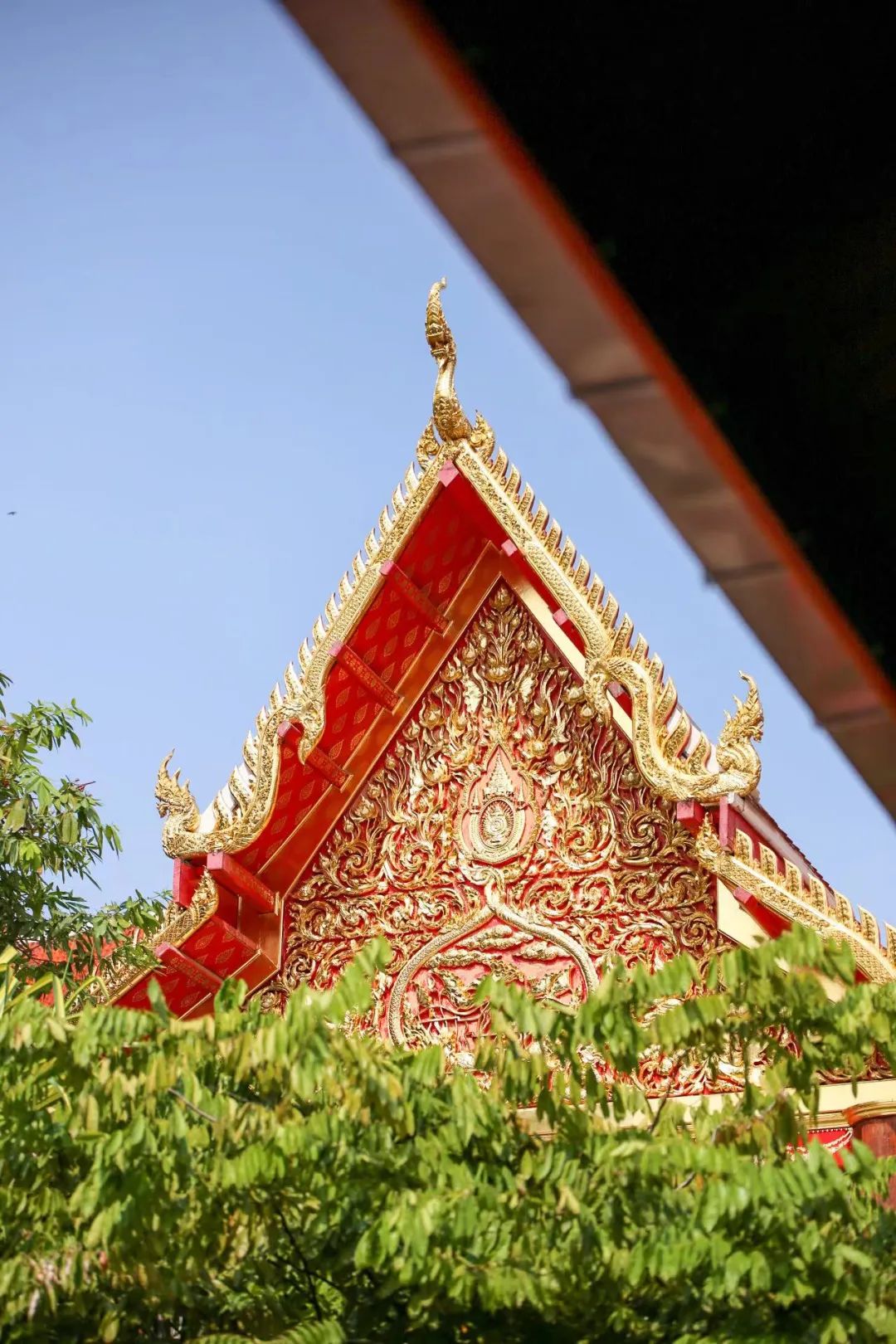 DƬ